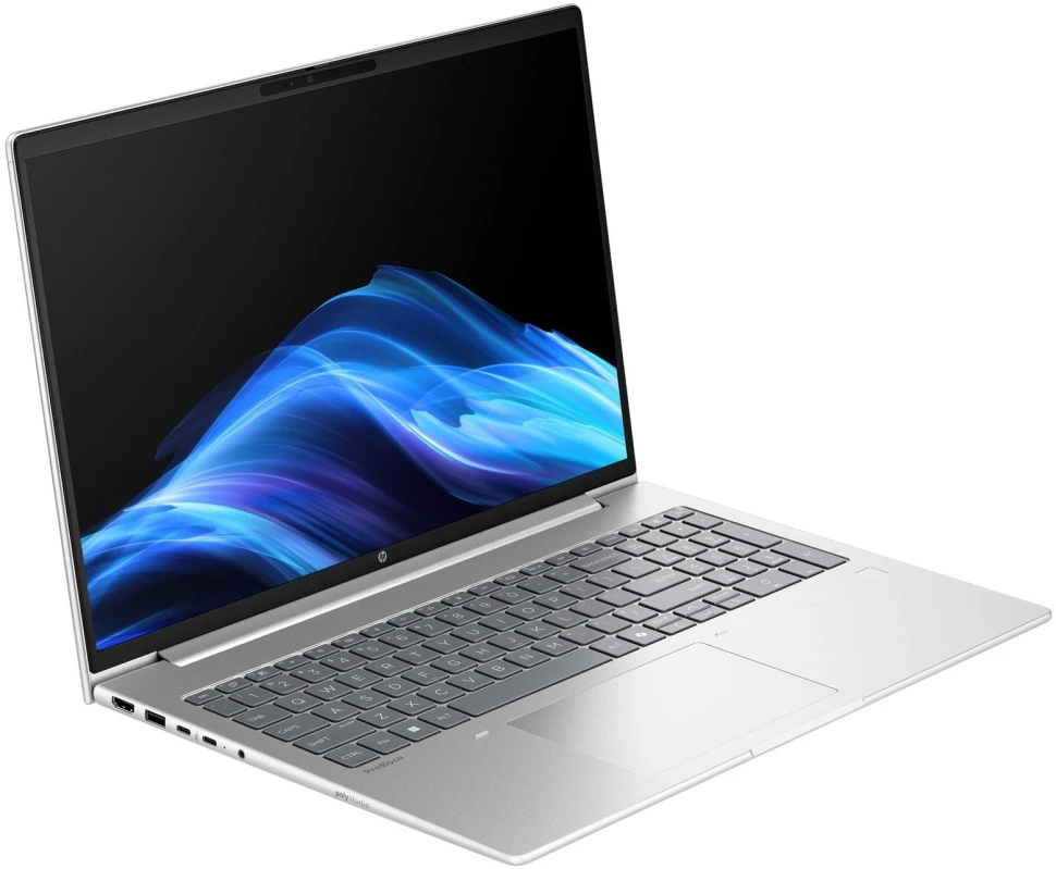 Ноутбук HP ProBook 4 G1a Ryzen 5 230 16Gb SSD256Gb AMD Radeon 760M 16" IPS FHD (1920x1200) Windows 11 Pro silver WiFi BT Cam (BM2S8UT)  
