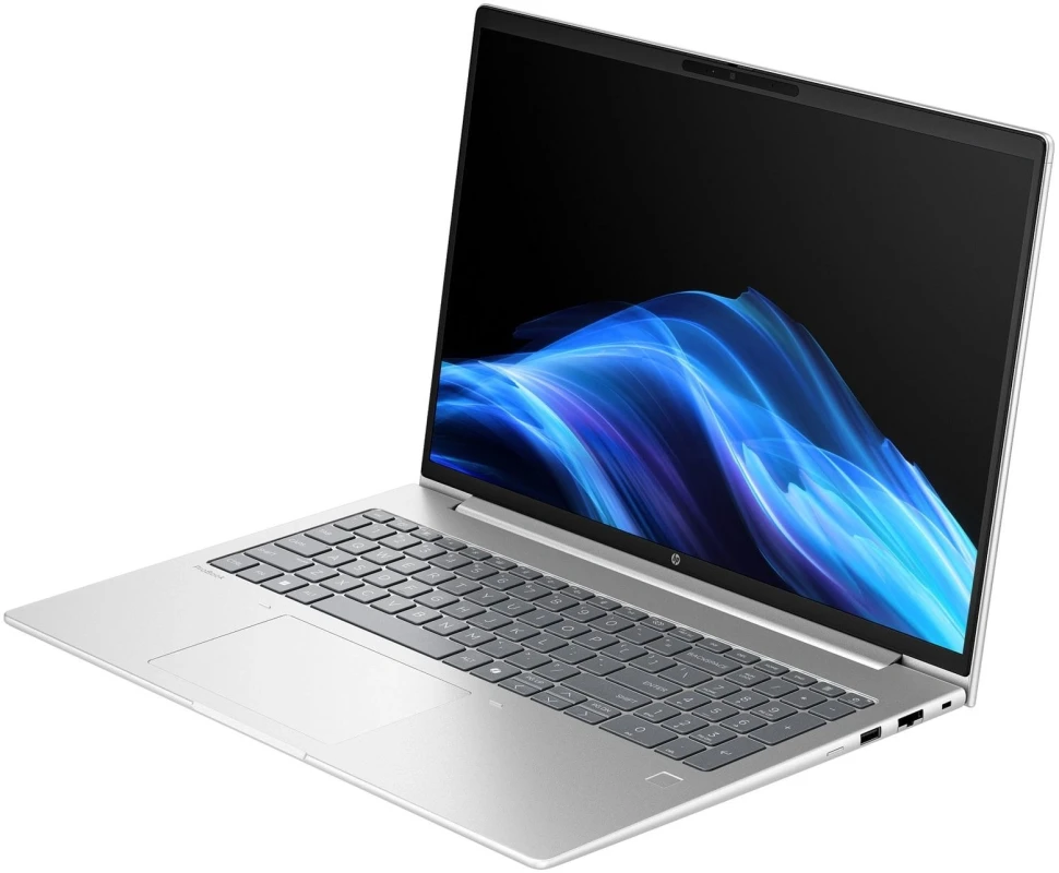 Ноутбук HP ProBook 4 G1a Ryzen 5 230 16Gb SSD256Gb AMD Radeon 760M 16" IPS FHD (1920x1200) Windows 11 Pro silver WiFi BT Cam (BM2S8UT)  