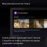 Умная колонка ЯНДЕКС Станция Дуо Макс Zigbee  