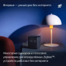 Умная колонка ЯНДЕКС Станция Миди 24Вт, с Алисой на YaGPT, оранжевый [yndx-00054org]  