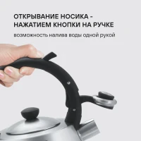 Чайник металлический Rondell Admiring RDS-1898 2.8л. стальной