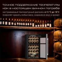Винный шкаф Tesler CWC-300 1-нокамерн. черный/серебристый глянц.