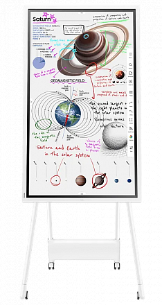 Монитор Samsung Flip Pro WM55B  