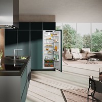 Встраиваемый холодильник Liebherr IRd 5100
