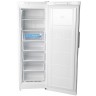 Морозильная камера Indesit DFZ 5175  