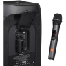 Микрофон JBL Wireless Microphone Set