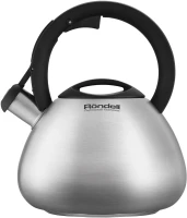 Чайник металлический Rondell Breve RDS-1887 2.8л. стальной