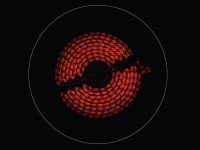 Варочная поверхность Electrolux LHR3233CK черный