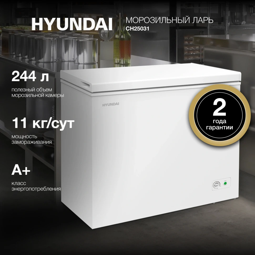 Морозильный ларь Hyundai CH25031 белый 120Вт  