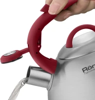 Чайник металлический Rondell Eletto RDS-1825 3л. стальной