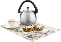 Чайник металлический Rondell Esfera RDS-1656 3л. стальной