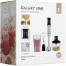 Блендер погружной Galaxy Line GL 2136 1350Вт серебристый