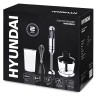 Блендер погружной Hyundai HYB-H5231 1200Вт черный  