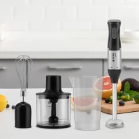 Блендер погружной Vitek Metropolis VT-3425 1000Вт разноцветный