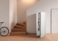 Морозильная камера Liebherr FNe 4605 FrostProtect белый